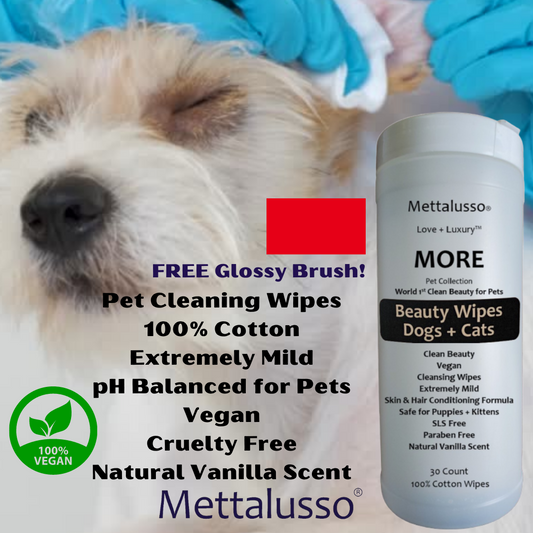 Free Glossy Brush with any purchase of vegan pet products at Mettalusso