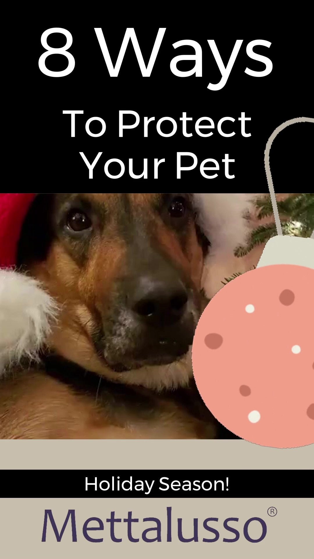 Mettalusso gives eight great holiday safety tips for your pets