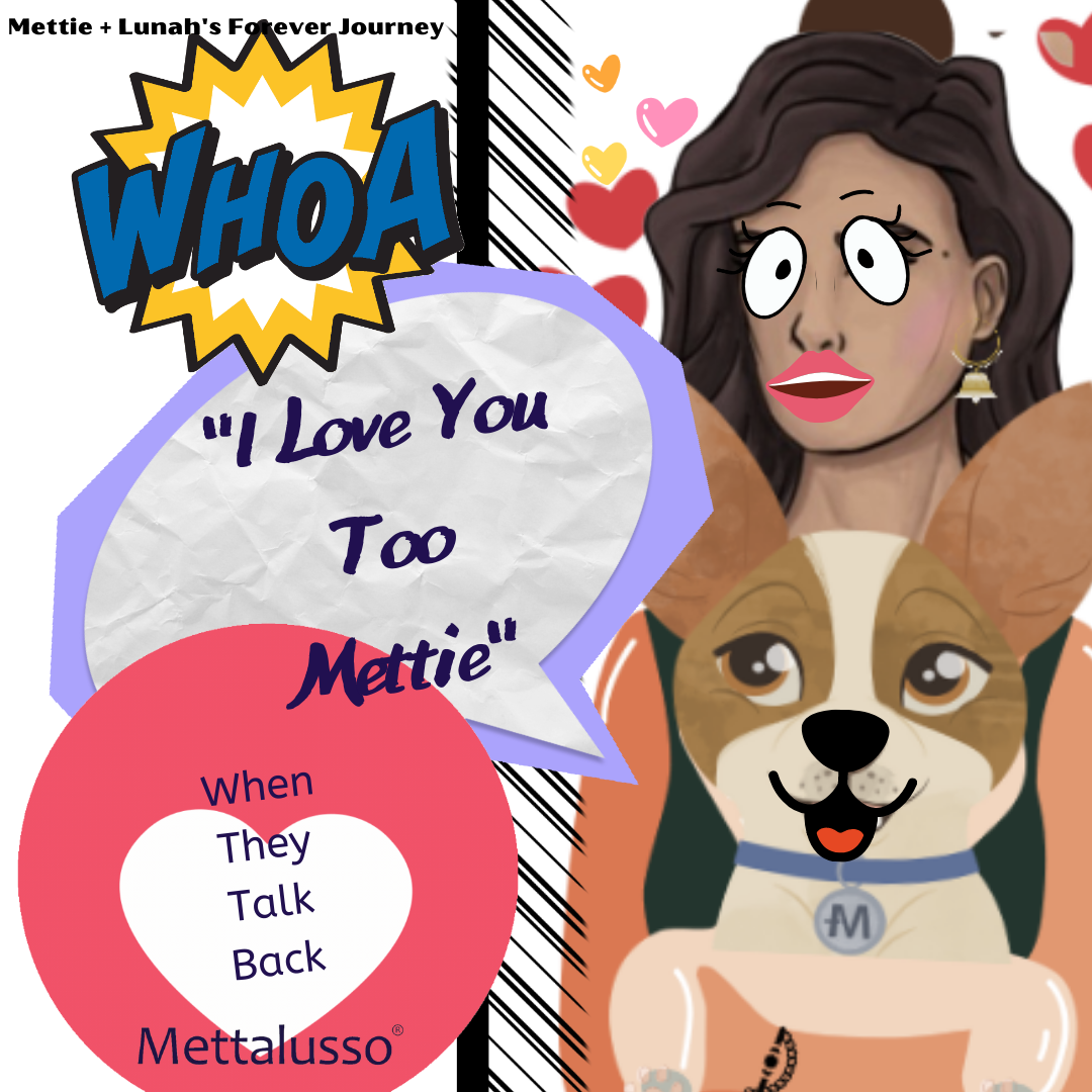 Mettie and Lunah's Forever Journey by Mettalusso new episode