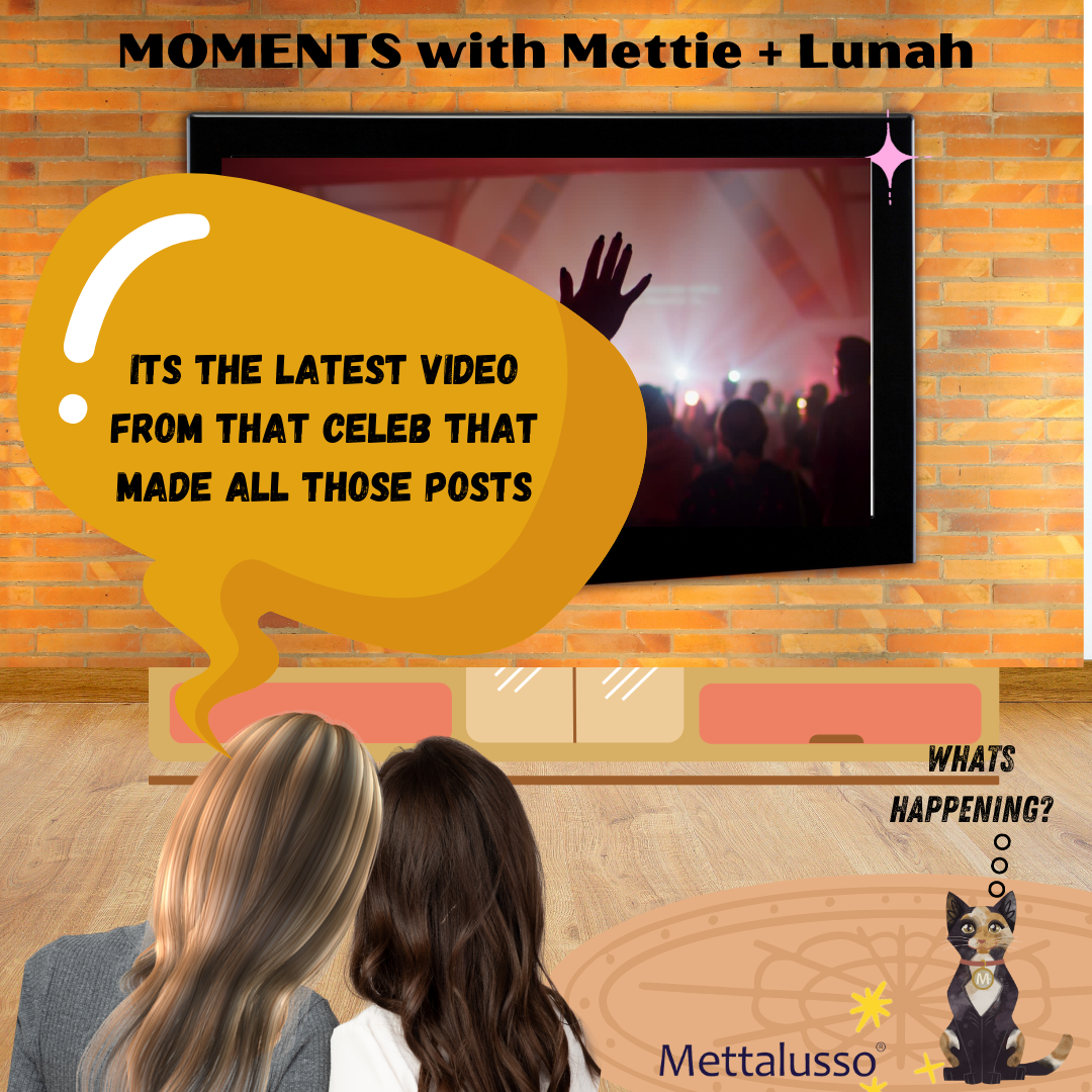 Mettie and Lunah's Forever Journey New Episode is about when celebs melt down