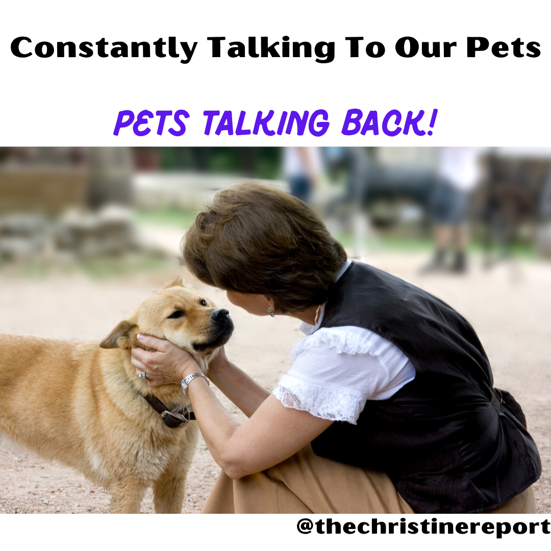 Mettalusso shares how pets are literally talking back to us