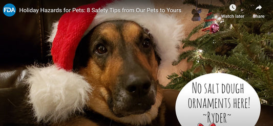 Mettalusso Supports FDA warnings for Pets during the holiday season