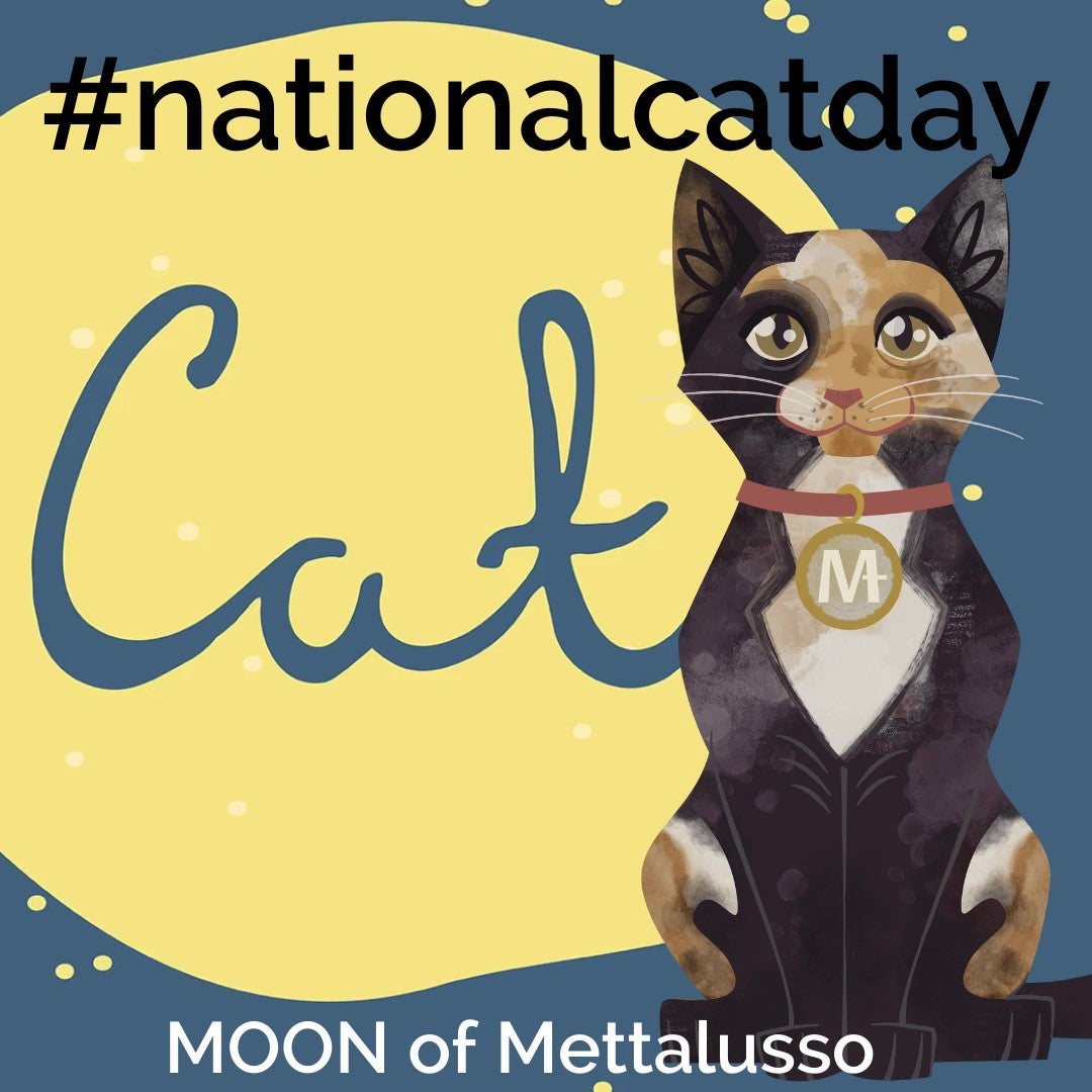 Moon the Cat of Mettalusso on #nationalcatday