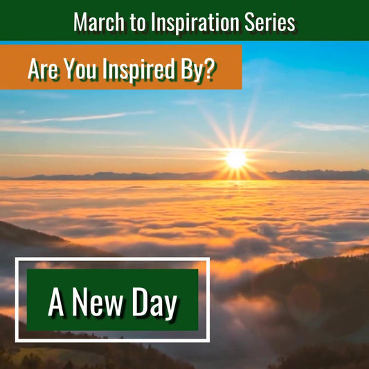 Mettalusso March to Inspiration Series