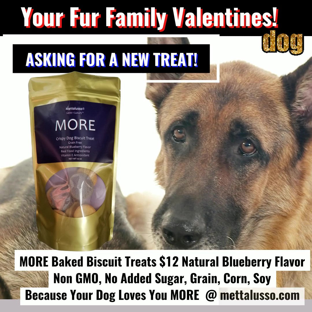 Your Furry Valentine! Perfect Treat.