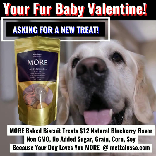 Your Fur Baby Wants A New Valentine Treat! MORE Baked Blueberry Biscuits by Mettalusso