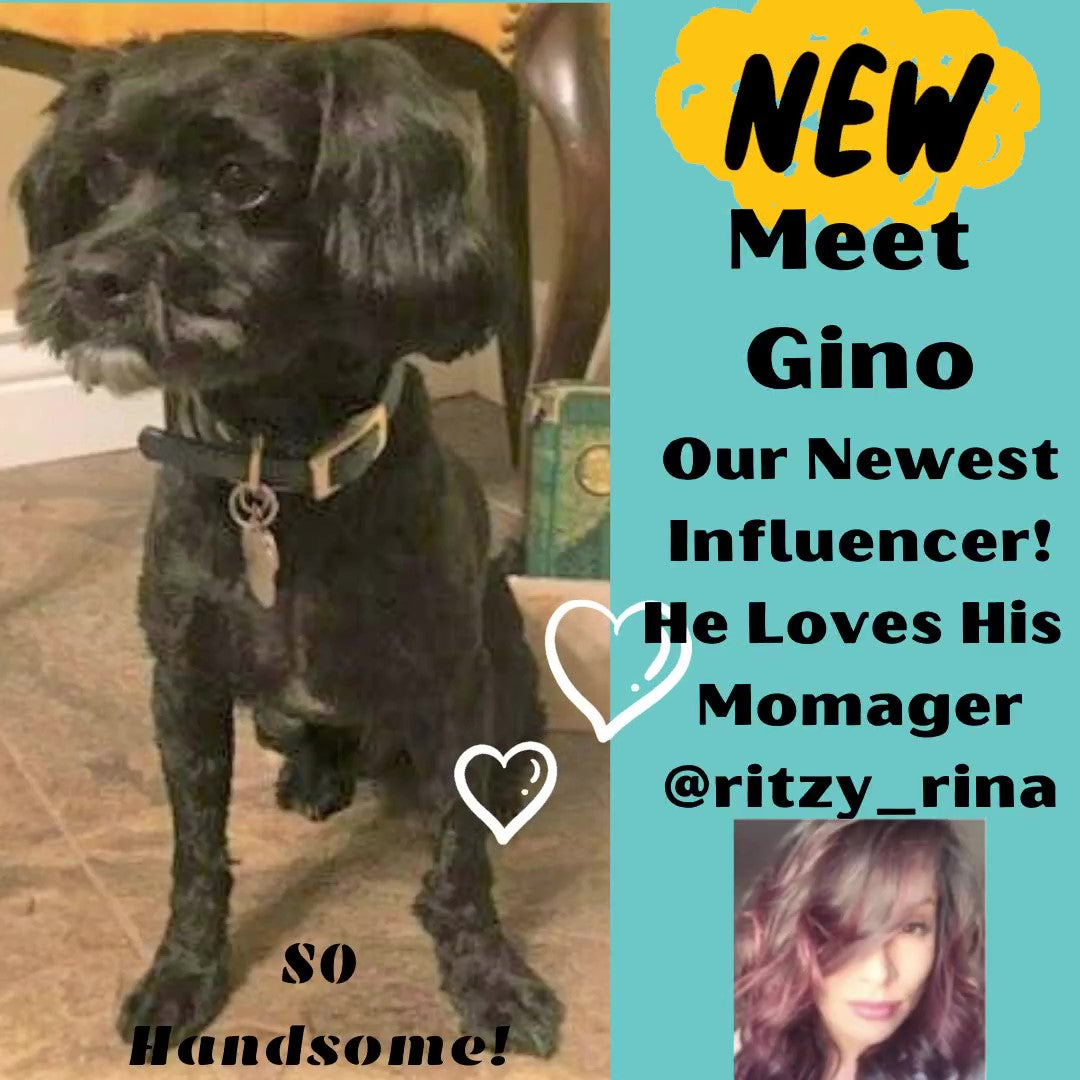 Our Newest Influencer- Gino!