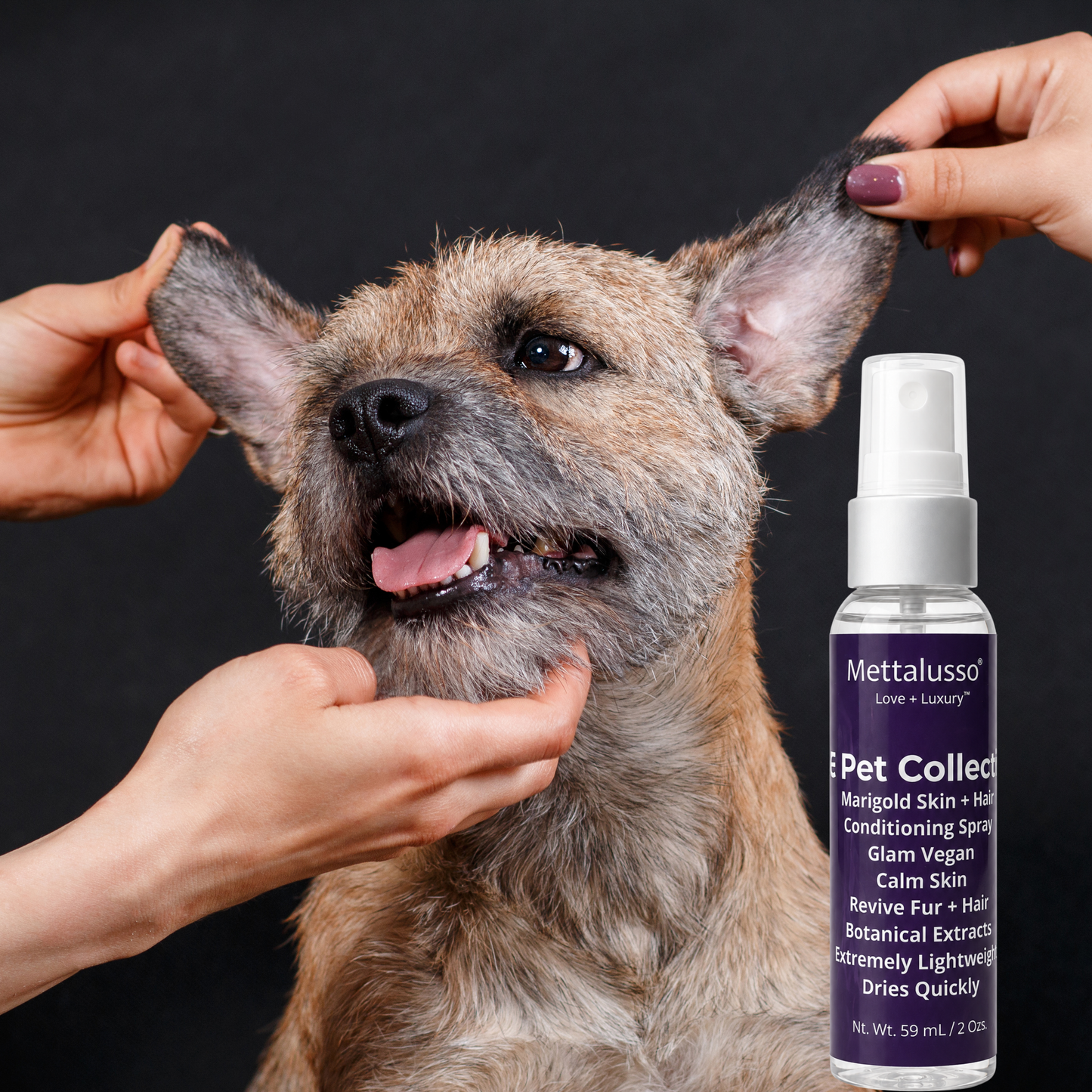 Mettalusso MORE Marigold Pet Grooming Spray Conditions Fur Skin Ears and Paws