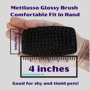 Mettalusso Glossy Brush for Pets is the perfect size to fit comfortably in your hand and good for shy and timid pets too.