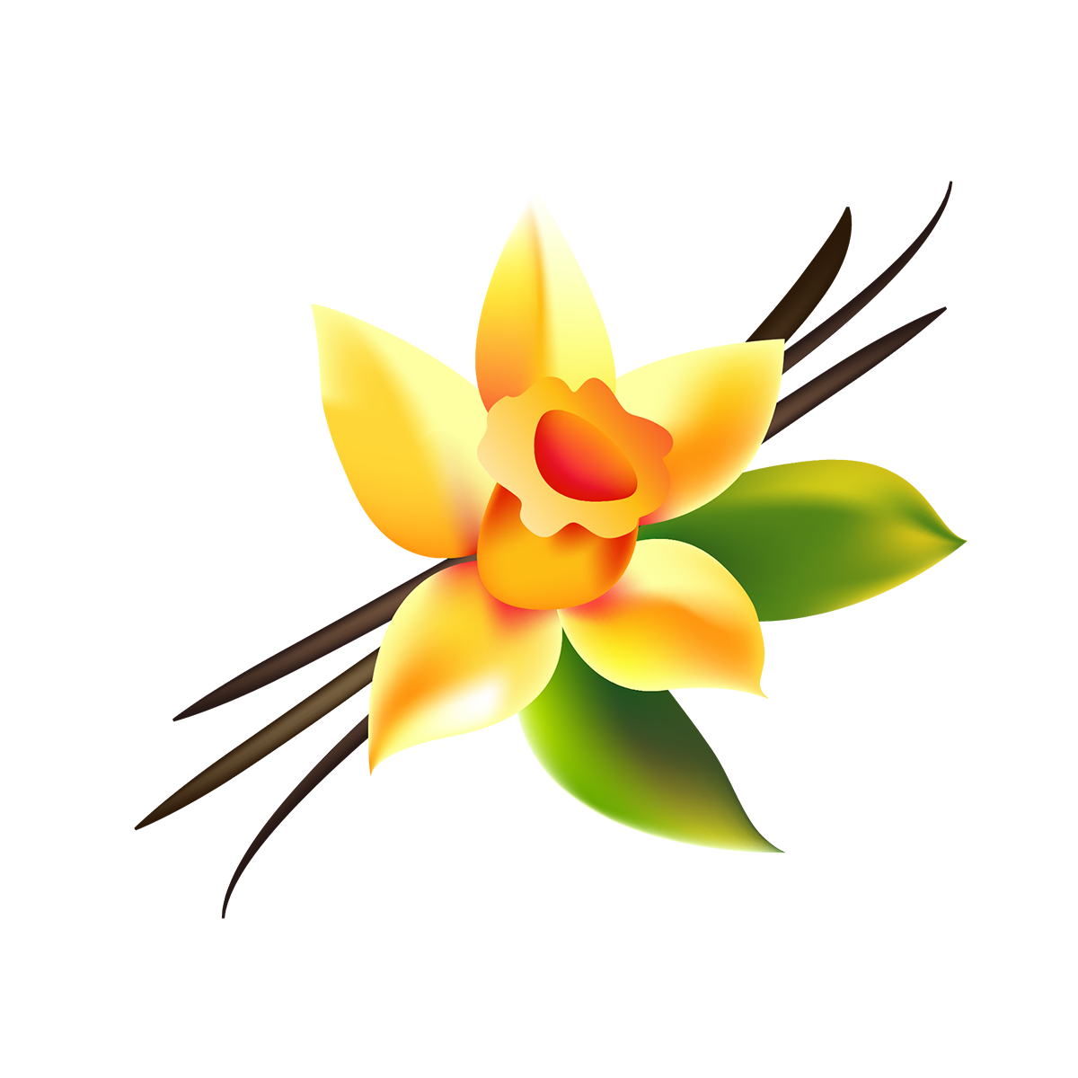 More Pet Collection Products Use 100% all natural vanilla scent