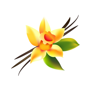 More Pet Collection Products Use 100% all natural vanilla scent